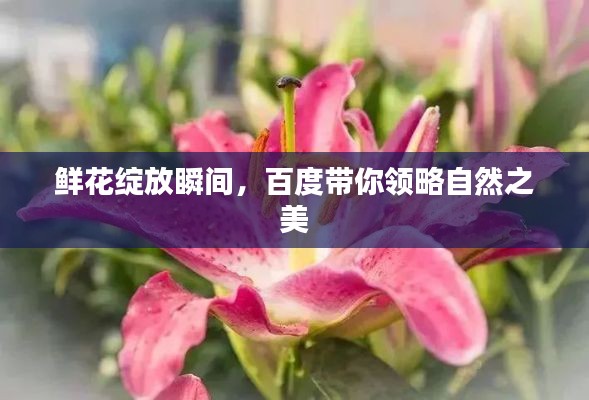 鲜花绽放瞬间，百度带你领略自然之美
