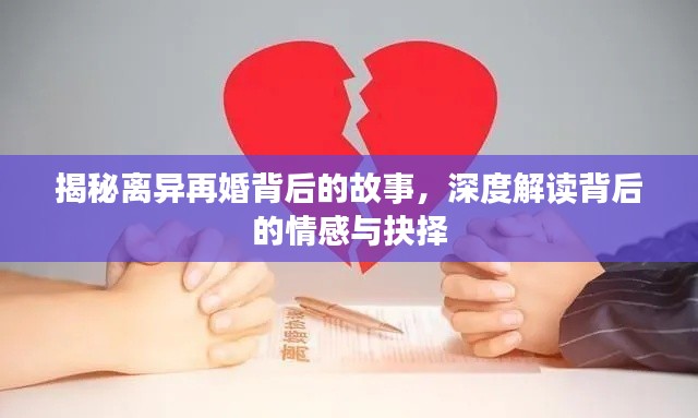 揭秘离异再婚背后的故事，深度解读背后的情感与抉择