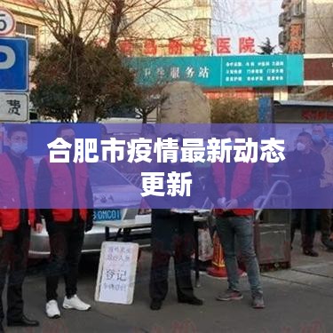 合肥市疫情最新动态更新