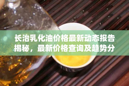 长治乳化油价格最新动态报告揭秘，最新价格查询及趋势分析
