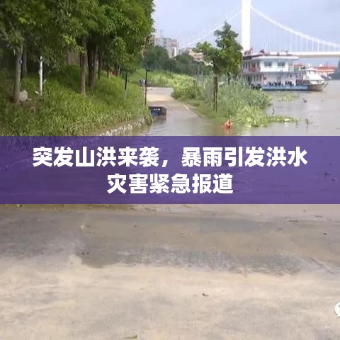 突发山洪来袭，暴雨引发洪水灾害紧急报道