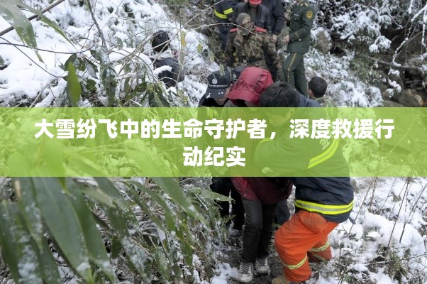 大雪纷飞中的生命守护者，深度救援行动纪实