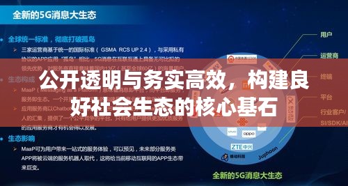 公开透明与务实高效，构建良好社会生态的核心基石
