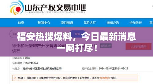福安热搜爆料，今日最新消息一网打尽！