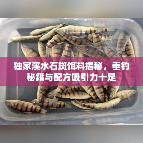 独家溪水石斑饵料揭秘，垂钓秘籍与配方吸引力十足