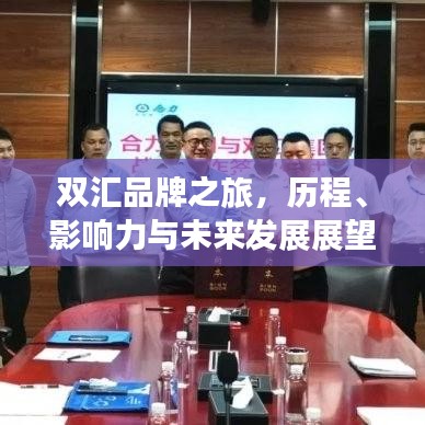双汇品牌之旅，历程、影响力与未来发展展望