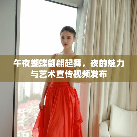 午夜蝴蝶翩翩起舞，夜的魅力与艺术宣传视频发布