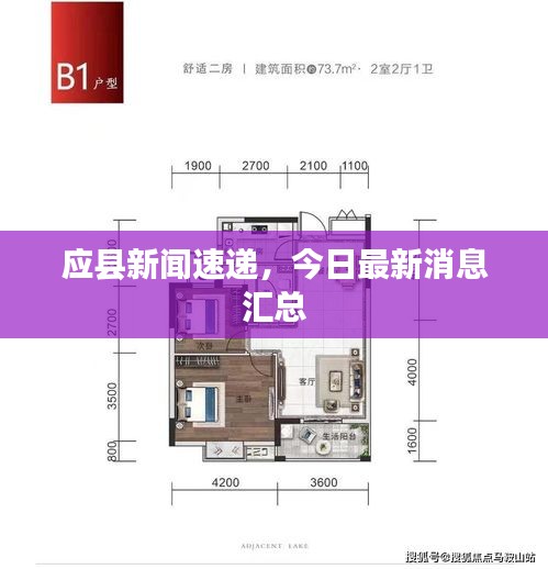 应县新闻速递，今日最新消息汇总