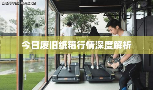 今日废旧纸箱行情深度解析