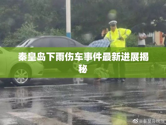 秦皇岛下雨伤车事件最新进展揭秘