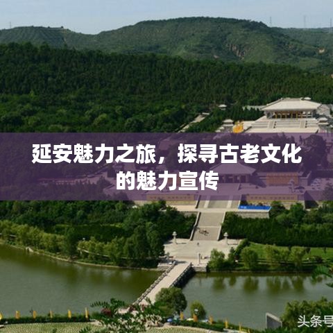 延安魅力之旅，探寻古老文化的魅力宣传