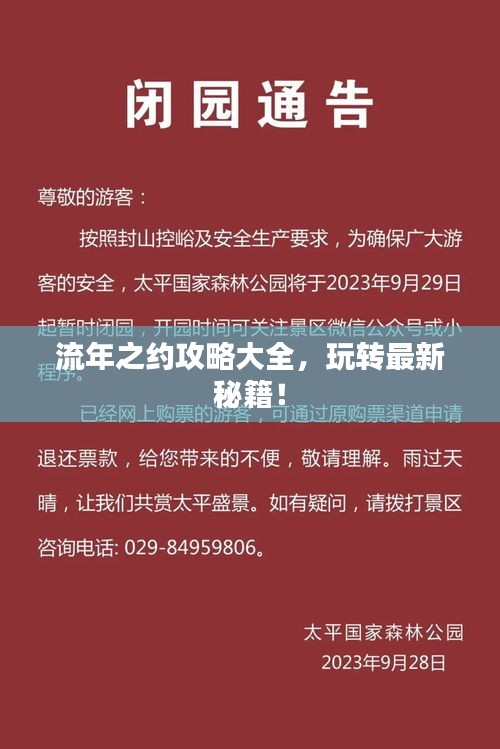 流年之约攻略大全，玩转最新秘籍！