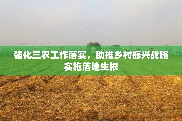 强化三农工作落实，助推乡村振兴战略实施落地生根