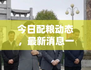 今日配粮动态，最新消息一览