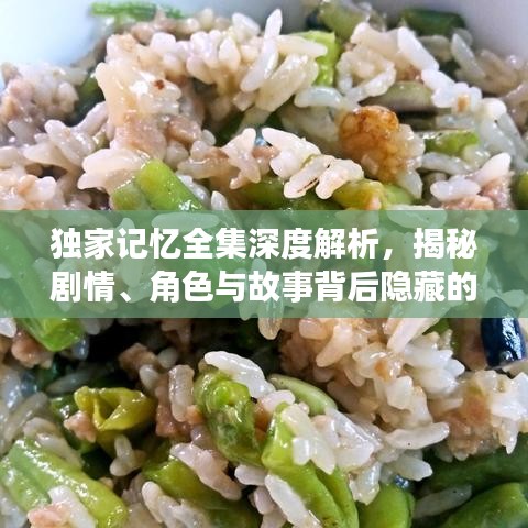 独家记忆全集深度解析，揭秘剧情、角色与故事背后隐藏的真相