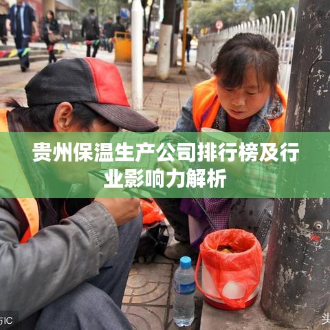 贵州保温生产公司排行榜及行业影响力解析