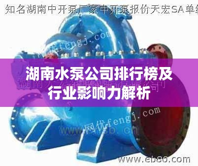 湖南水泵公司排行榜及行业影响力解析
