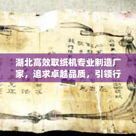 湖北高效取纸机专业制造厂家，追求卓越品质，引领行业新标杆