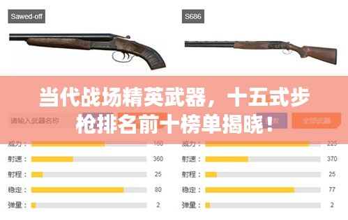 当代战场精英武器，十五式步枪排名前十榜单揭晓！