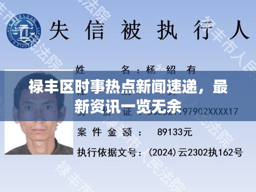 禄丰区时事热点新闻速递，最新资讯一览无余