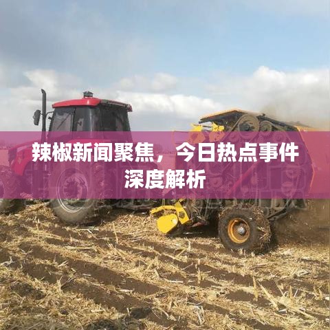 辣椒新闻聚焦，今日热点事件深度解析