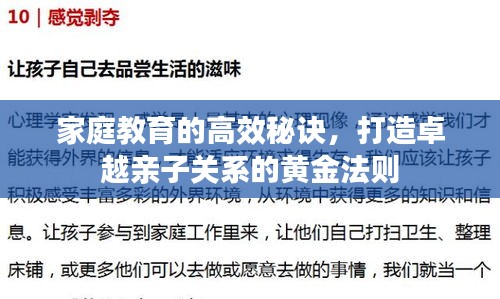 家庭教育的高效秘诀，打造卓越亲子关系的黄金法则