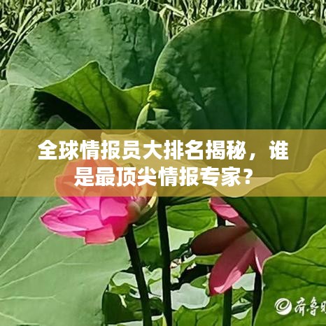 全球情报员大排名揭秘，谁是最顶尖情报专家？