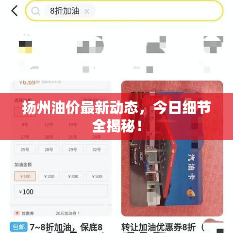 扬州油价最新动态，今日细节全揭秘！