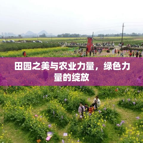 田园之美与农业力量，绿色力量的绽放