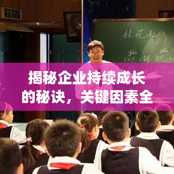 揭秘企业持续成长的秘诀，关键因素全解析