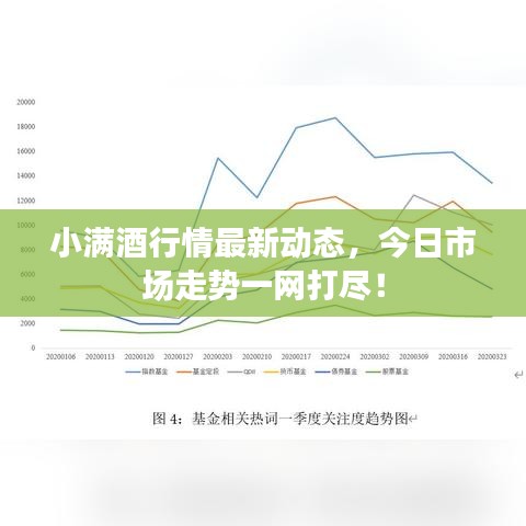 小满酒行情最新动态，今日市场走势一网打尽！