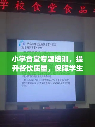 小学食堂专题培训，提升餐饮质量，保障学生健康饮食