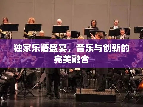 独家乐谱盛宴，音乐与创新的完美融合