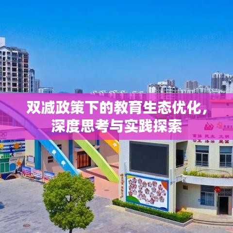 双减政策下的教育生态优化，深度思考与实践探索