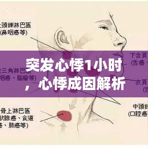 第536页