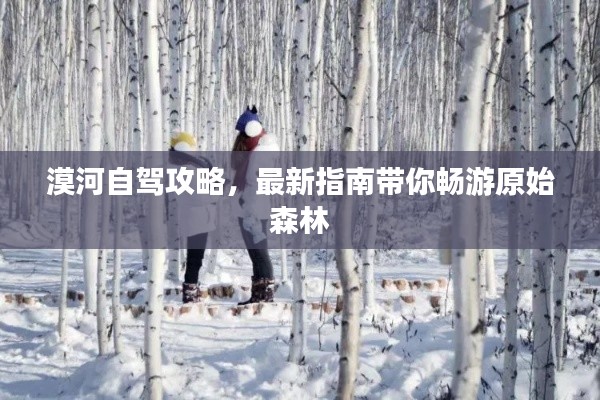 漠河自驾攻略，最新指南带你畅游原始森林