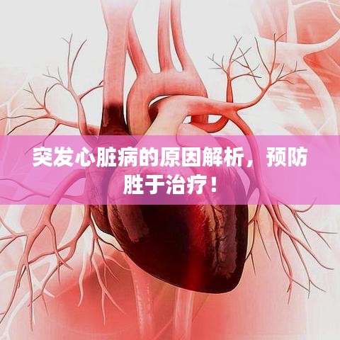 突发心脏病的原因解析，预防胜于治疗！