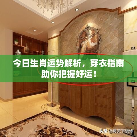 今日生肖运势解析，穿衣指南助你把握好运！