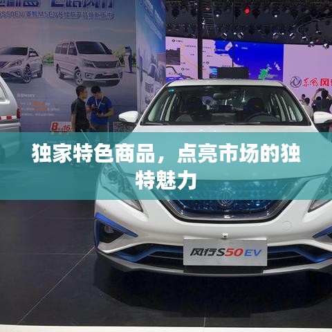 独家特色商品，点亮市场的独特魅力