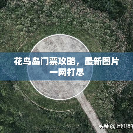 花鸟岛门票攻略，最新图片一网打尽