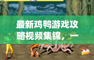 最新鸡鸭游戏攻略视频集锦，一网打尽，让你轻松掌握游戏技巧！