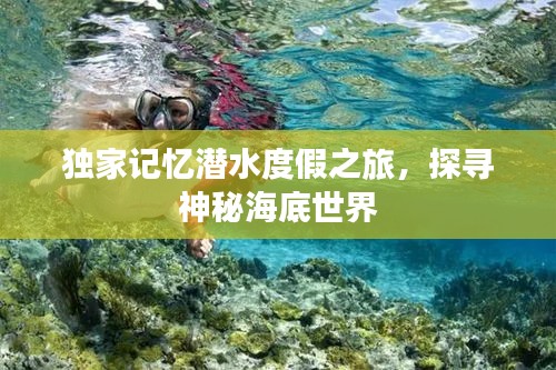 独家记忆潜水度假之旅，探寻神秘海底世界