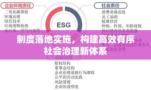 制度落地实施，构建高效有序社会治理新体系