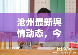 沧州最新舆情动态，今日消息综述一网打尽