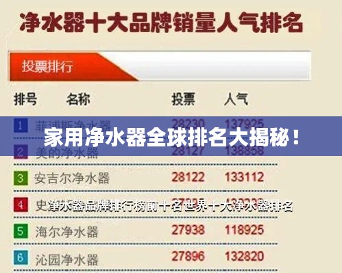 家用净水器全球排名大揭秘！