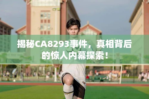 揭秘CA8293事件，真相背后的惊人内幕探索！
