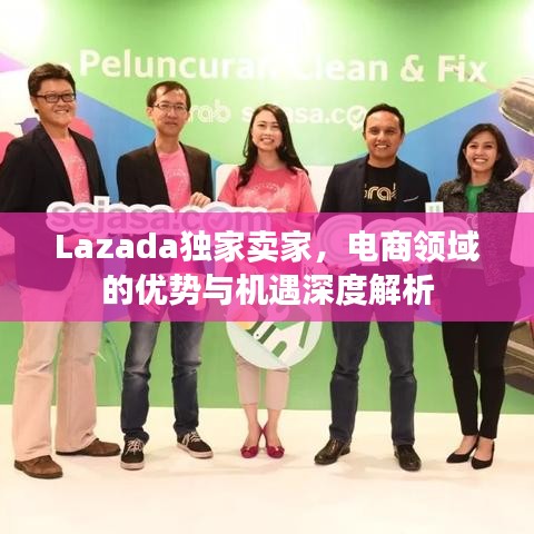 Lazada独家卖家，电商领域的优势与机遇深度解析