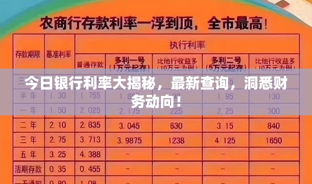 今日银行利率大揭秘，最新查询，洞悉财务动向！