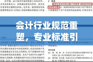会计行业规范重塑，专业标准引领健康前行