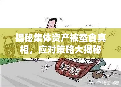 揭秘集体资产被蚕食真相，应对策略大揭秘